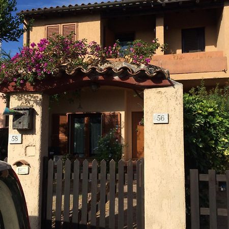 Antonio Rose Garden Daire Olbia Dış mekan fotoğraf
